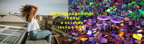 mdpv Баксан