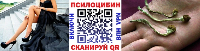 закладка  Белогорск  Галлюциногенные грибы Magic Shrooms 